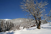 Nesselwang im Allgäu